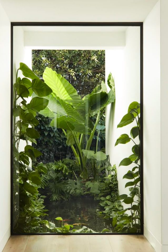 Lush green planting framed in a minimalist black doorway portal