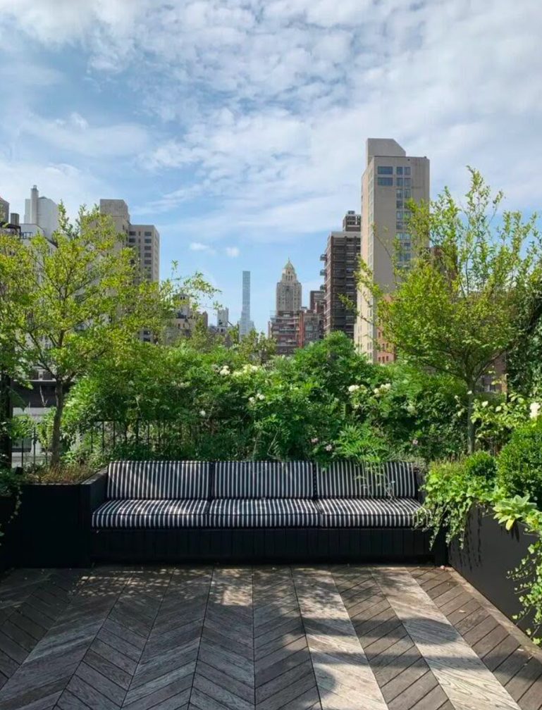 Rooftop terrace garden with greenery and a city skyline beyond